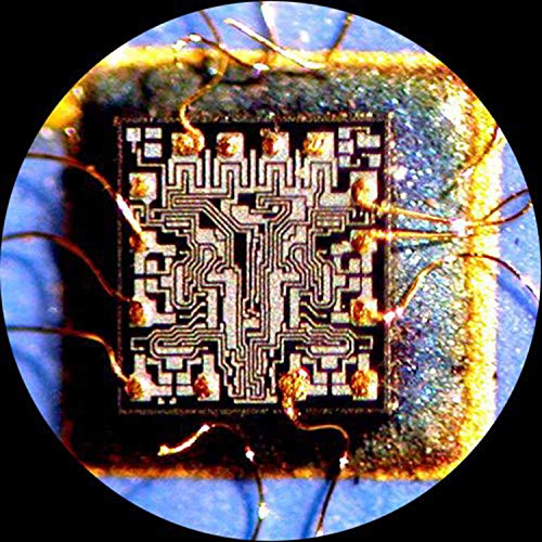AmScope Professional Trinocular Stereo Zoom Microscope 7X-90X Magnification Clear