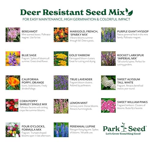Park Seed Vibrant Annual and Perennial Wildflower Garden Seed Mixture 50 lbs Deer Resistant Mix
