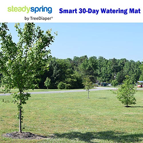 SteadySpring Smart Tree Watering Mat with Auto Refills for 20-Inch Root Ball