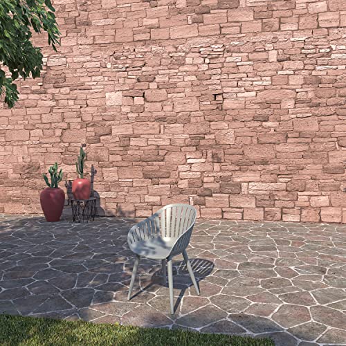 International Home Miami Amazonia 11-Piece Rectangular Patio Dining Set with Grey Aluminium Chairs