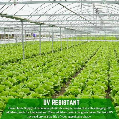 Farm Plastic Supply String Reinforced 10 Mil Clear Greenhouse Plastic Sheeting 42' x 75' Clear
