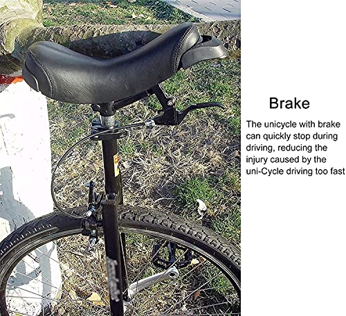 LJYT Heavy Duty 28inch Unicycle for Adults 200 Pounds