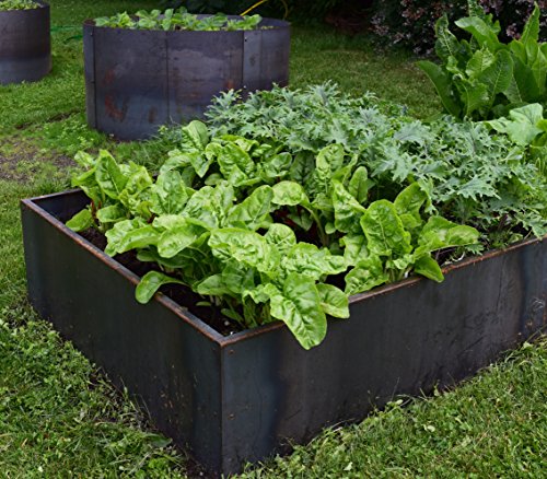 Nice Planter Nicer Corten Planter Bed 48"x48"x16"H Rust