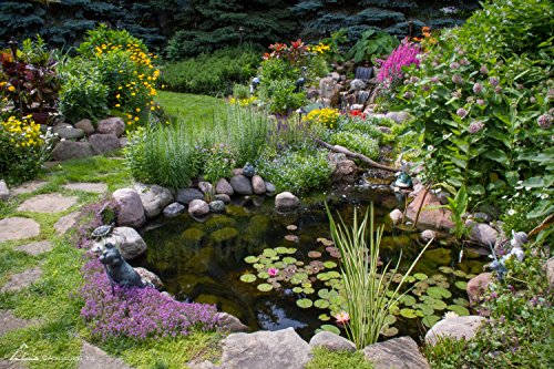 Aquascape PRO Grade EPDM Boxed 45 Mil Liner for Pond, Waterfall, and Water Features 15 x 15 Feet Black