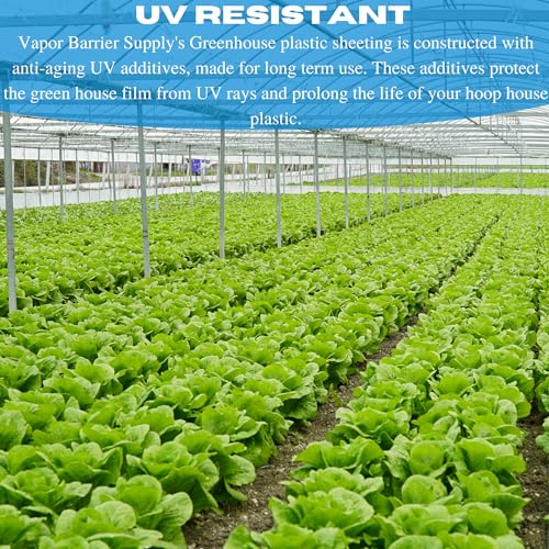Farm Plastic Supply Vapor Barrier Clear Greenhouse Plastic Sheeting 10 Mil 42' x 100'