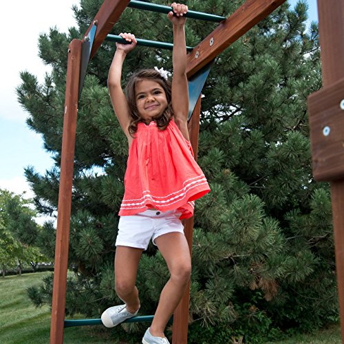 Swing-N-Slide Chesapeake Wood Play Set with Swings, Slide, Monkey Bars, Climbing Wall, Picnic Table, Brown