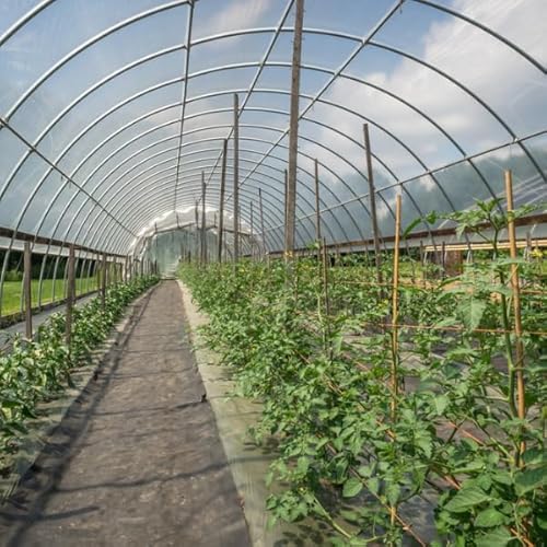Farm Plastic Supply Clear 6 Mil Vapor Barrier Greenhouse Plastic Sheeting 40' x 120'