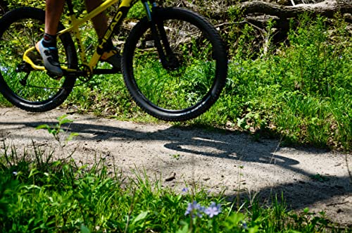 HEAD Berm 29er Mountain Bike Yellow