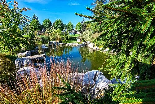 HALF OFF PONDS Savio Signature 6100 Complete Water Garden and Pond Kit with EPDM Liner Black