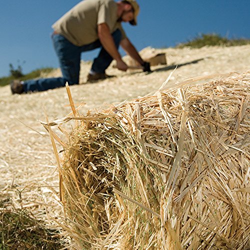 Smart Spring Contractor Grade 6 Inch Biodegradable Stakes Green