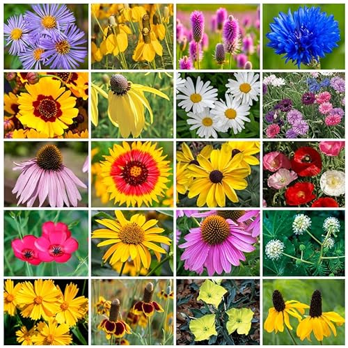 Park Seed Wildflower Garden Seeds Mixture for Pollinators - Midwest Regional Mix, 25 lbs