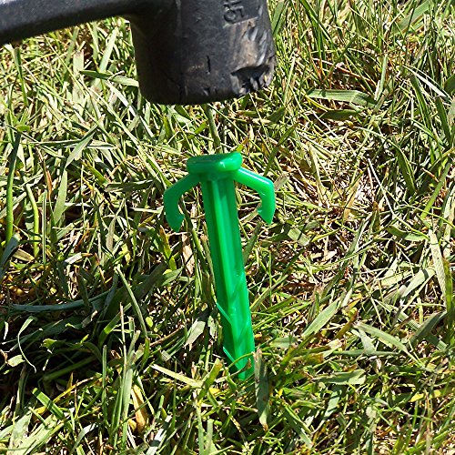Smart Spring Contractor Grade 6 Inch Biodegradable Stakes Green
