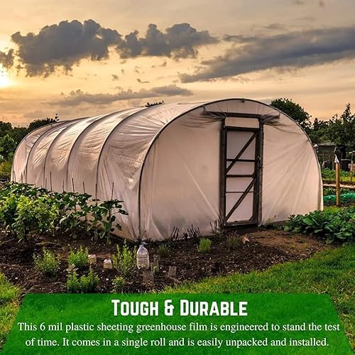 Farm Plastic Supply 4 Year Clear 6 Mil Greenhouse Plastic Sheeting Clear 40' x 100'