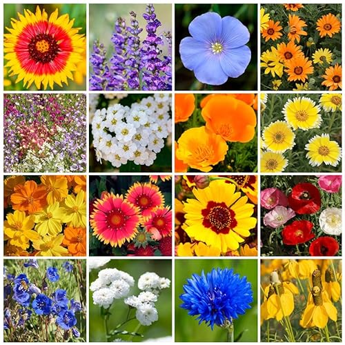 Park Seed Wildflower Garden Mixture for Pollinators - Dry Places Mix, 50 lbs