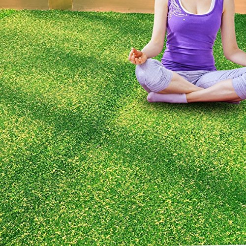 Petgrow Realistic Artificial Grass Rug 1.37" Height 13FT x 40FT