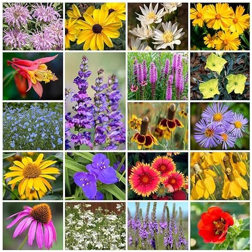 Park Seed Grow Your Own Wildflower Garden Seeds Native Perennial Mix 10 lbs