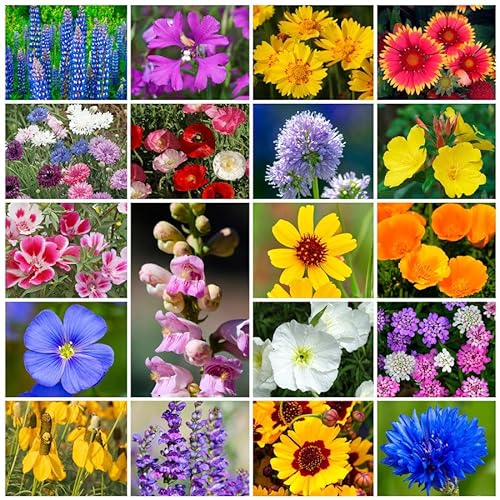 Park Seed Grow Your Own Wildflower Garden Seeds Mixture 25 lbs - Western Regional Mix