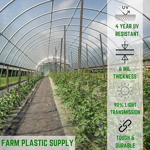 Farm Plastic Supply 4 Year Clear 6 Mil Greenhouse Plastic Sheeting 50' x 100' Clear