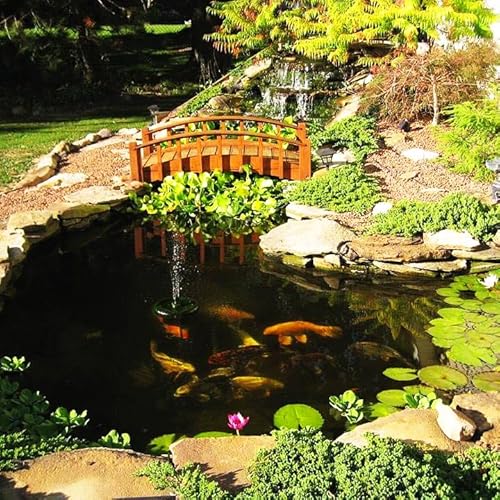 HALF OFF PONDS PondBuilder Crystal 4000 Complete Water Garden and Pond Kit with PVC Liner Black