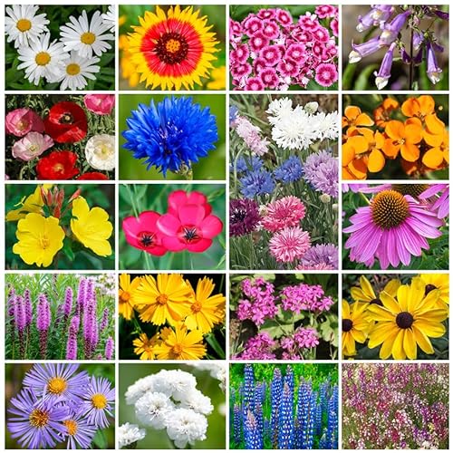 Park Seed Wildflower Garden Seeds Mixture Northeast Regional Mix 50 lbs