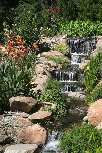 HALF OFF PONDS 15' x 30' Savio Pond Free Waterfall Kit Black