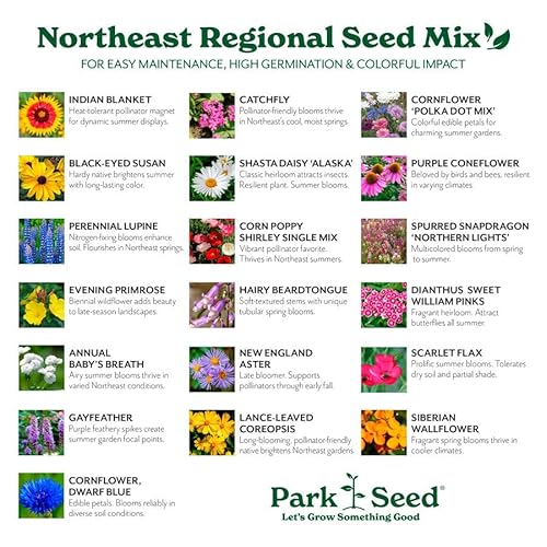 Park Seed Vibrant Annual and Perennial Wildflower Garden Seeds Northeast Regional Mix 25 lbs